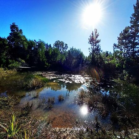 Holt Hill Villa Plettenbergbaai Buitenkant foto