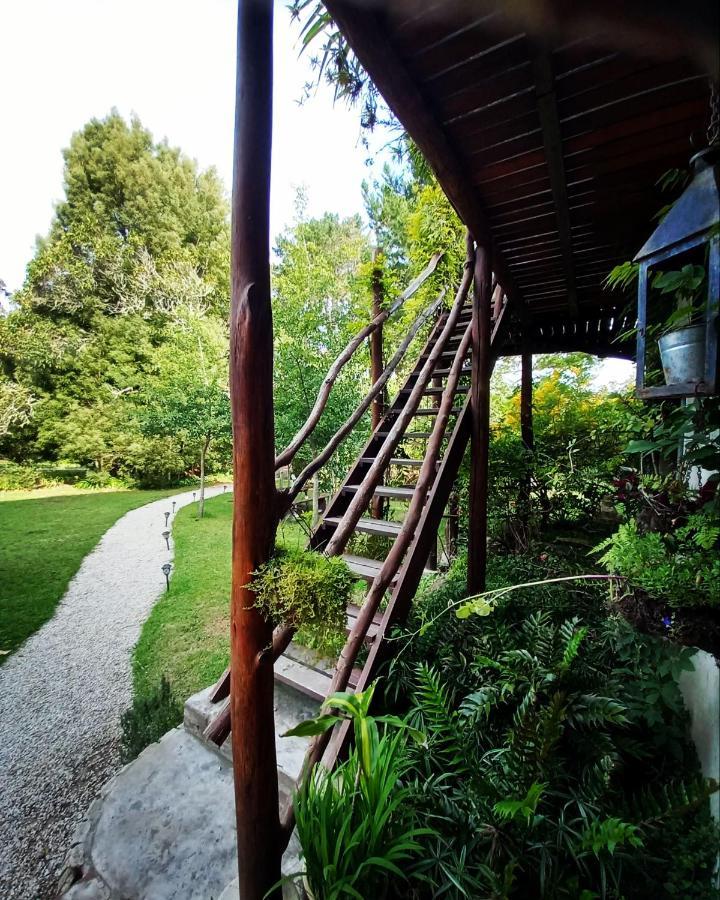 Holt Hill Villa Plettenbergbaai Buitenkant foto