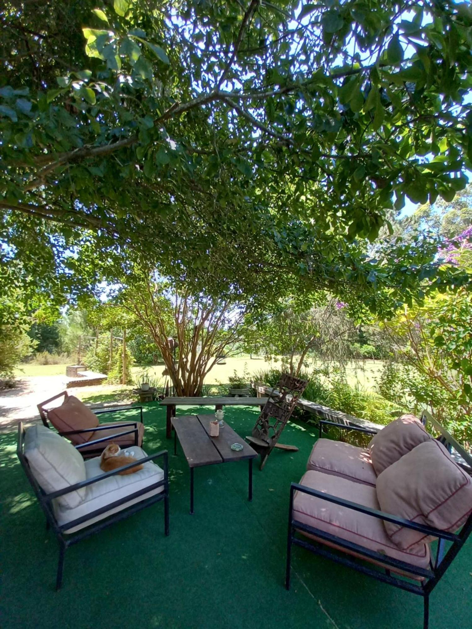 Holt Hill Villa Plettenbergbaai Buitenkant foto