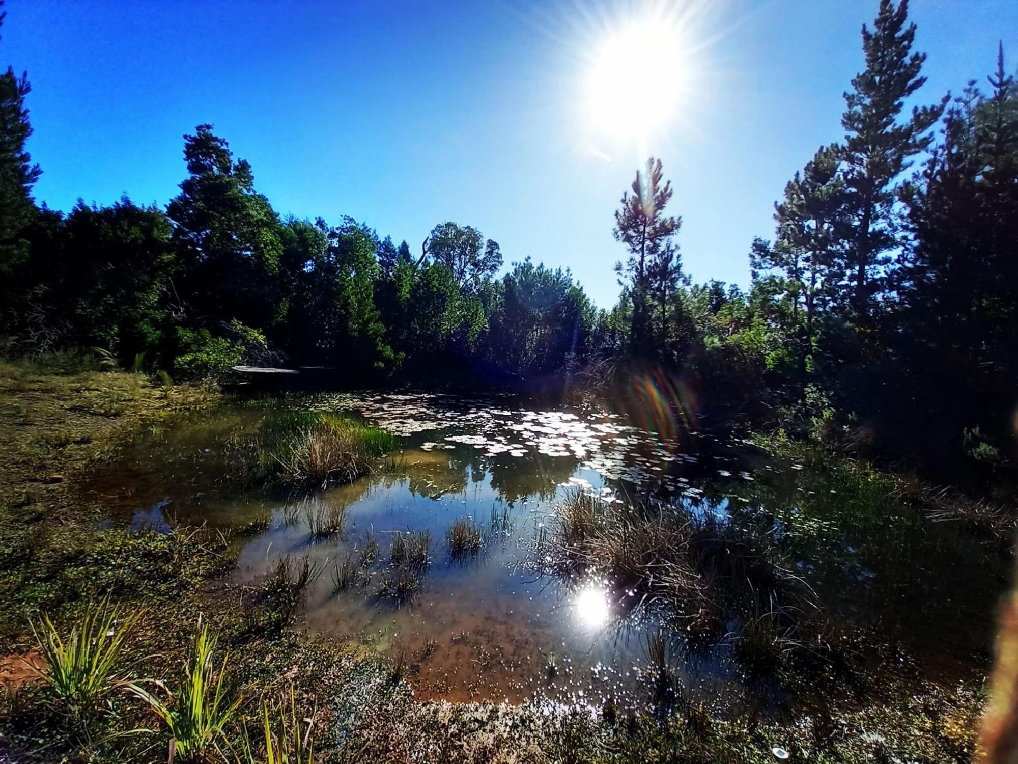 Holt Hill Villa Plettenbergbaai Buitenkant foto