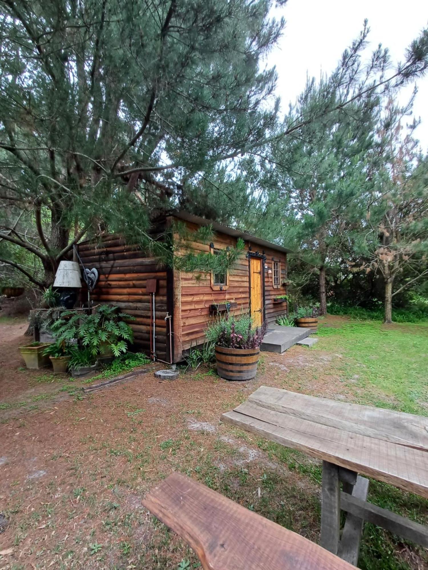 Holt Hill Villa Plettenbergbaai Buitenkant foto