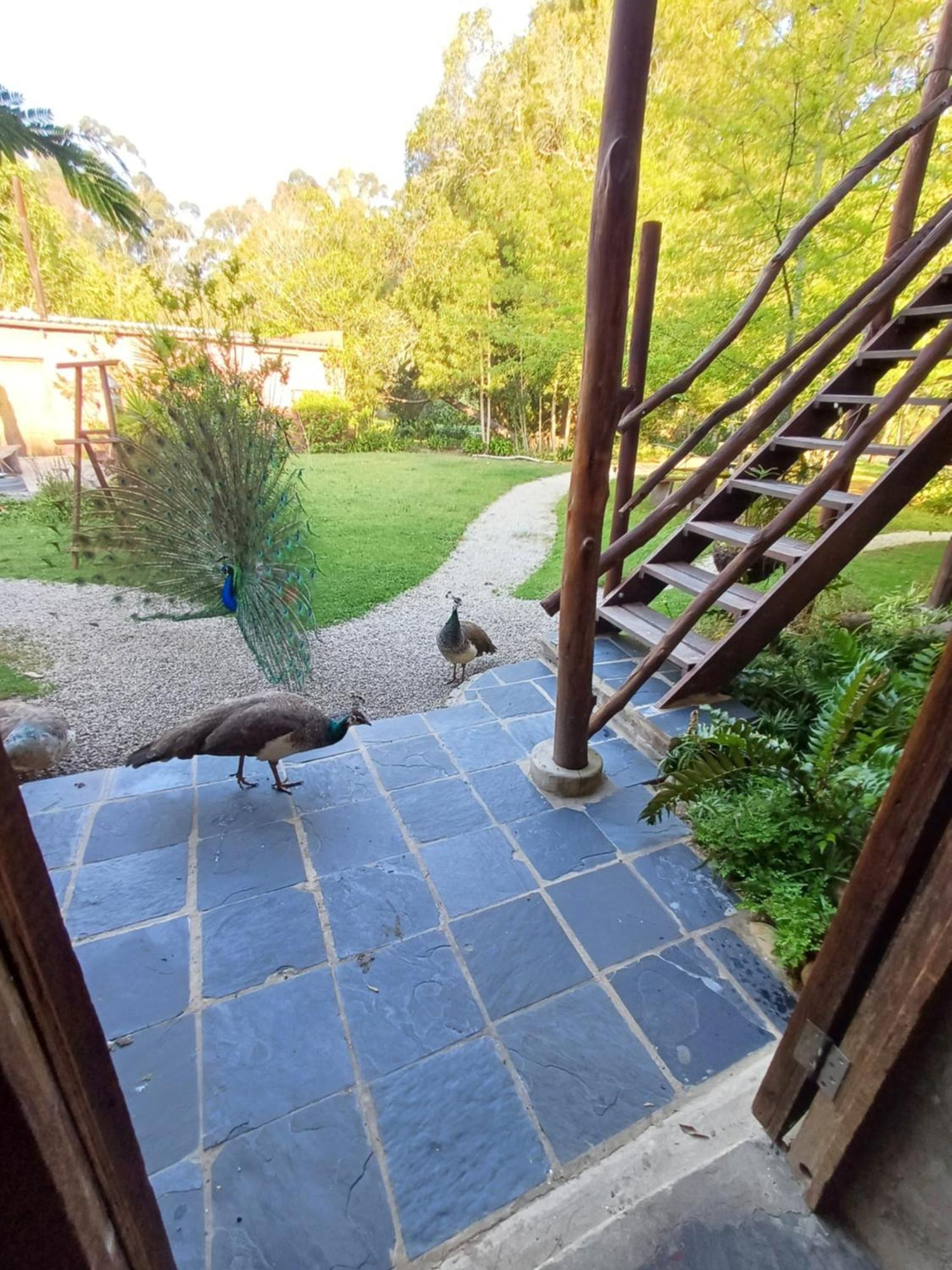 Holt Hill Villa Plettenbergbaai Buitenkant foto